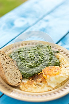 Boiled spinach with fried egg and a slice of bread