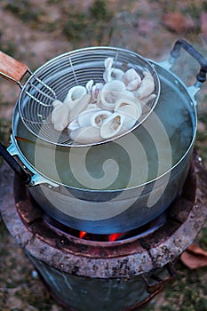 Boiled Squid in a stainless pot