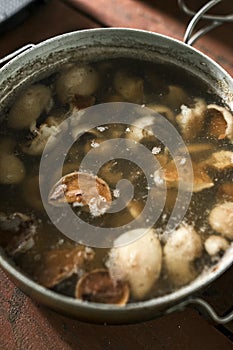 Boiled Suillus mushrooms