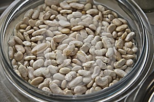 Boiled white beans