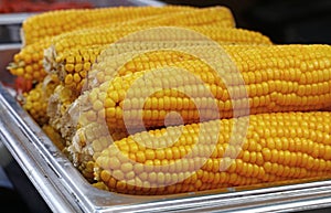 Boiled yellow corn cobs close up