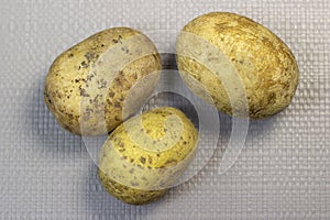 Boiled yellow potatoes in jackets on a light texture background  close-up