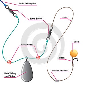 Boilie setup diagram for Carp fishing