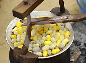 Boiling cocoon in a pot to prepare a cocoon silk.