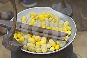 Boiling cocoon silkworm in the pot