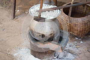 Boiling cocoon silkworm