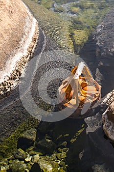 Boiling Eggs in Chaeson Hot spring