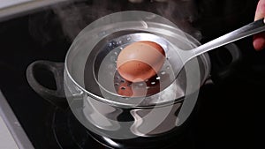 boiling eggs in pot on stove