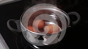 boiling eggs in pot on stove