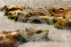 Boiling Hot Water Pools In Yellowstone National Park