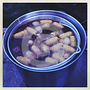 Boiling lowcountry seafood