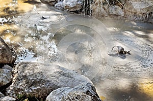 Boiling mud pools in Beppu Japan