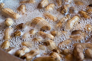 Boiling Peanuts Closeup