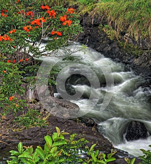 Boiling Pots near Hilo (Big Island, Hawaii) photo