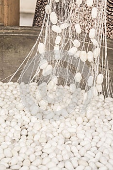 Boiling silkworm cocoons to produce silk rope