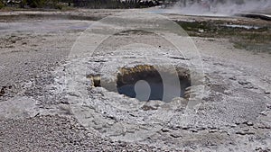 Boiling water bubbler Geyser. Active geyser with major eruptions. Yellowstone National Park, Wyoming, USA