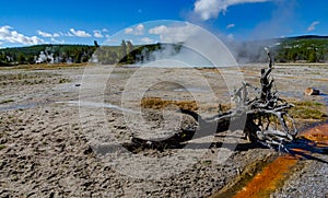 Boiling water bubbler Geyser. Active geyser with major eruptions. Yellowstone NP, Wyoming, US