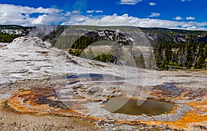 Boiling water bubbler Geyser. Active geyser with major eruptions. Yellowstone NP, Wyoming, US