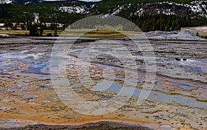 Boiling water bubbler Geyser. Active geyser with major eruptions. Yellowstone NP, Wyoming, US