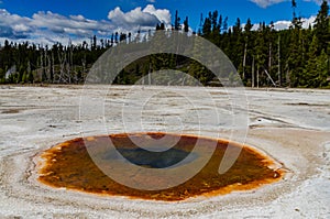 Boiling water bubbler Geyser. Active geyser with major eruptions. Yellowstone NP, Wyoming, US