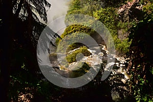 Boiling water stream through bush thermal valley