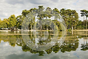 Bois de Boulogne in Paris, France