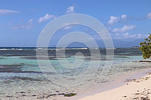 Bois Jolan Beach Sainte Anne Guadeloupe Island French West Indies