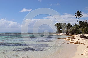 Bois Jolan Beach Sainte Anne Guadeloupe Island French West Indies