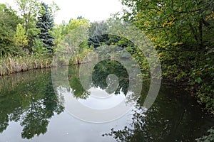 Boise city park pond, Idaho