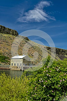 Boise Idaho irrigation diversion dam and rose bush