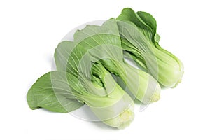 Bok Choy