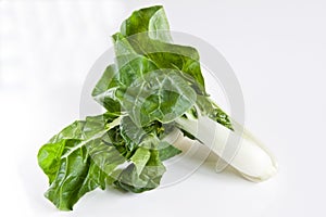 Bok Choy