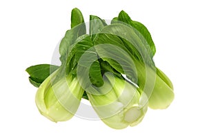Pok Choi