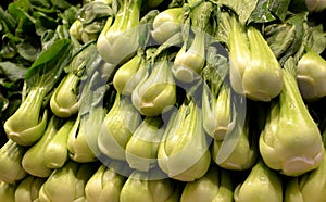 Bok choy