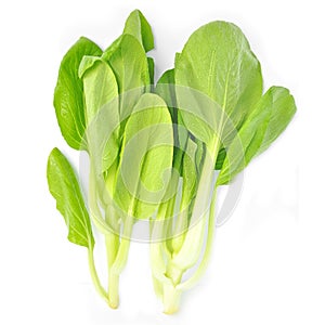Bok choy