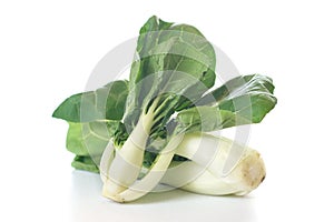 Bok Choy