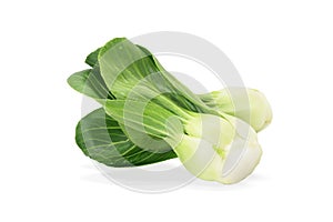 Bok choy