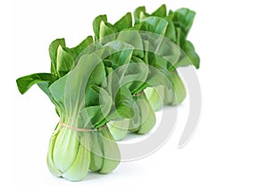 Bok Choy