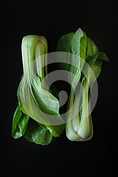 Bok choy cabbage isolated on a black background