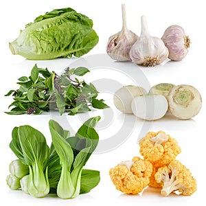 Bok choy, cauliflower, Sweet Basil, white turnips, garlic, baby