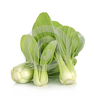 Bok choy chinese cabbage   isolated on white background