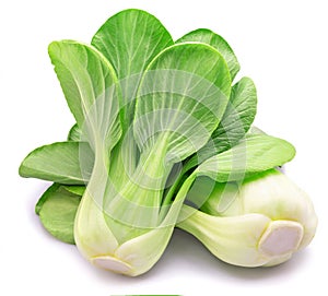 Bok choy or chinese cabbage isolated on white background