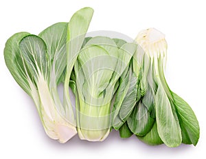 Bok choy or chinese cabbage isolated on white background. photo