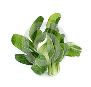 Bok choy (chinese cabbage or Qing geng cai) on white