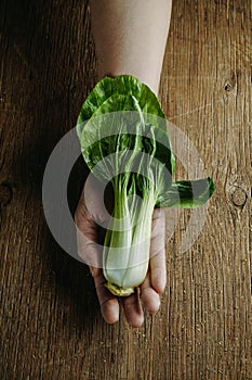bok choy in the hand of a man photo