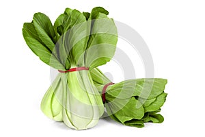 Bok Choy Isolated