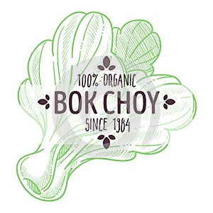 Bok choy or pak choi chinese cabbage emblem