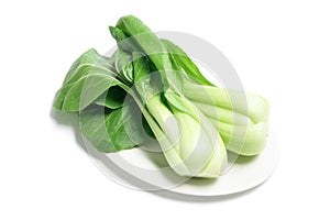 Bok Choy on Plate