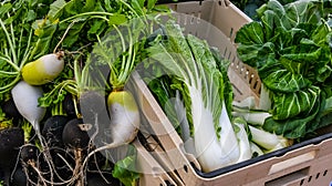 Bok Choy and Radishes for Sale at the Farmers Market