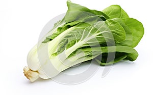 Bok Choy in Seclusion on White Background